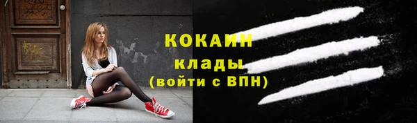 стаф Абинск