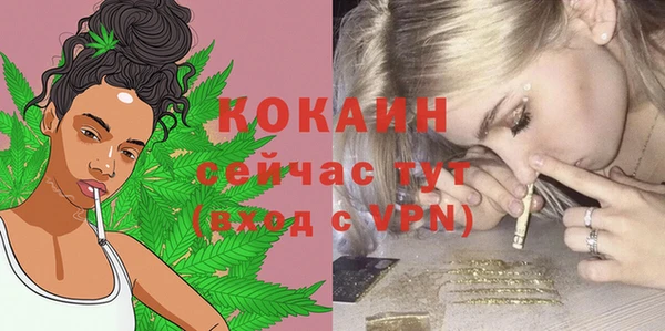 стаф Абинск
