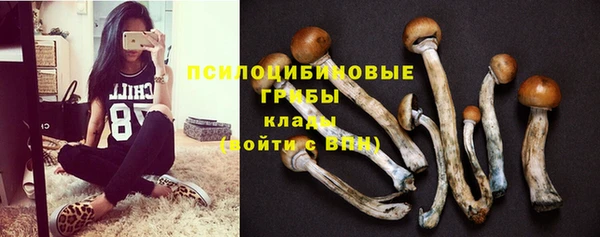стаф Абинск