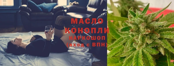 стаф Абинск