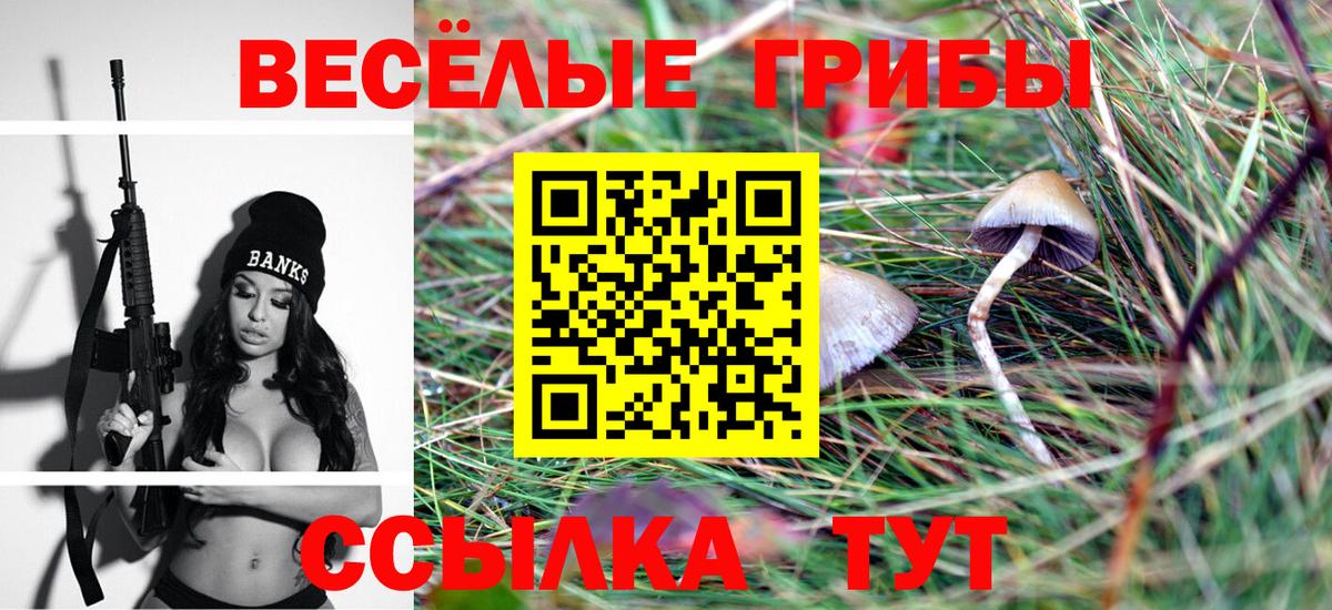 Галлюциногенные грибы Cubensis Серпухов